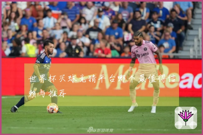 世界杯买球竞猜平台哪个最值得信赖与推荐