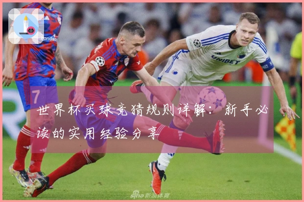 世界杯买球竞猜规则详解：新手必读的实用经验分享