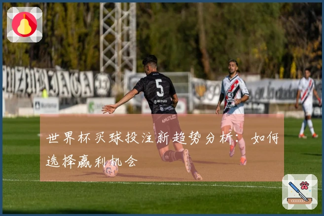 世界杯买球投注新趋势分析：如何选择赢利机会