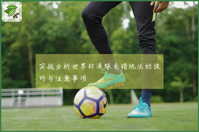 实战分析世界杯滚球竞猜玩法的技巧与注意事项