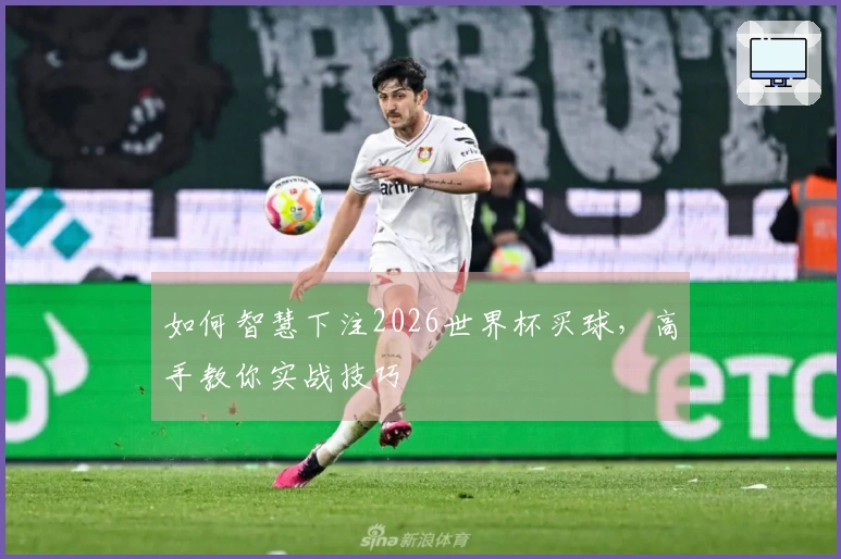 如何智慧下注2026世界杯买球，高手教你实战技巧