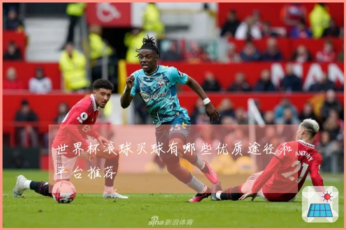 世界杯滚球买球有哪些优质途径和平台推荐