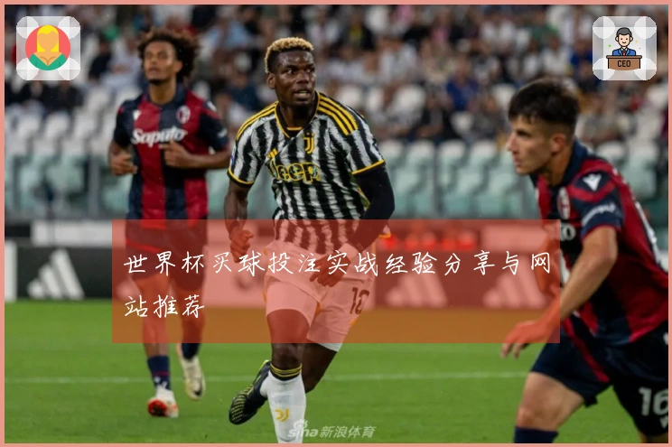 世界杯买球投注实战经验分享与网站推荐