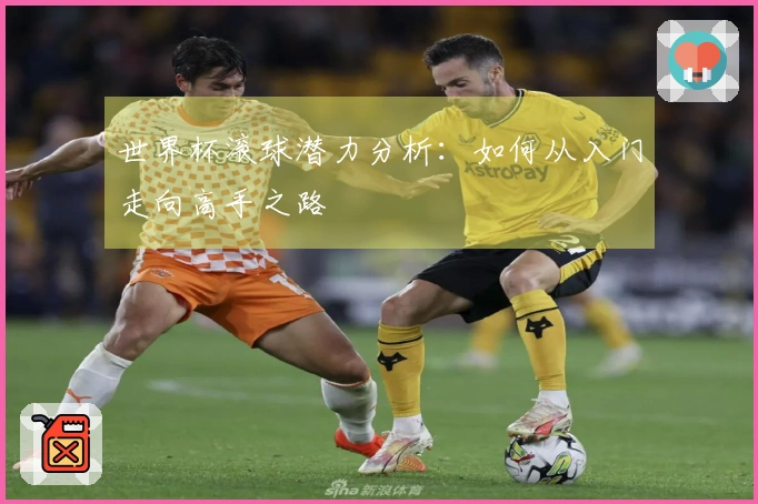 世界杯滚球潜力分析：如何从入门走向高手之路