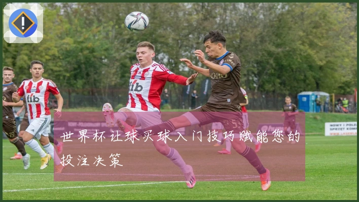 世界杯让球买球入门技巧赋能您的投注决策