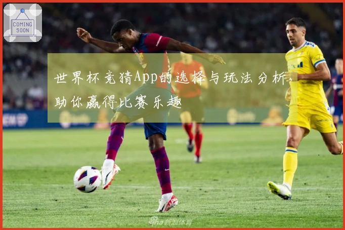 世界杯竞猜App的选择与玩法分析，助你赢得比赛乐趣
