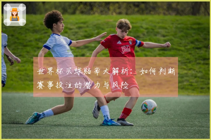 世界杯买球赔率大解析：如何判断赛事投注的潜力与风险