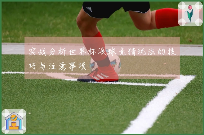 实战分析世界杯滚球竞猜玩法的技巧与注意事项