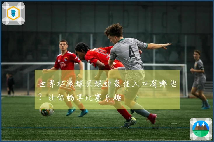 世界杯滚球买球的最佳入口有哪些？让你畅享比赛乐趣