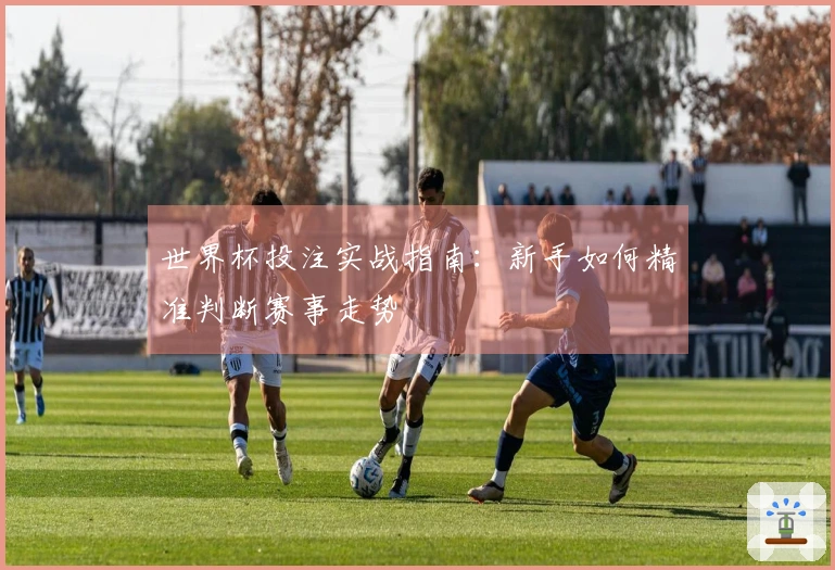 世界杯投注实战指南：新手如何精准判断赛事走势