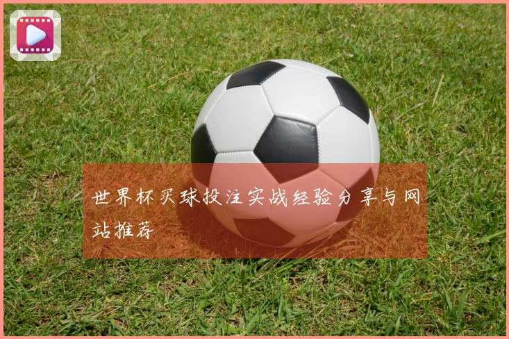 世界杯买球投注实战经验分享与网站推荐