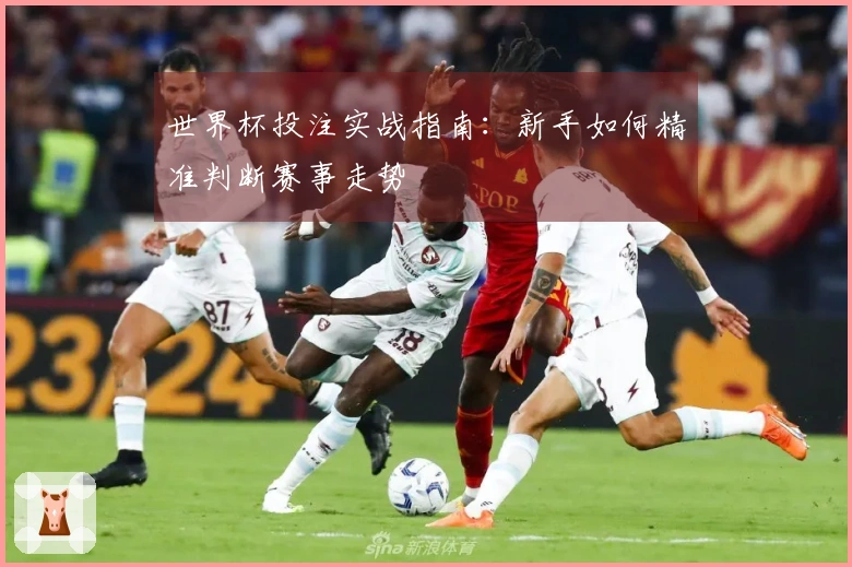 世界杯投注实战指南：新手如何精准判断赛事走势