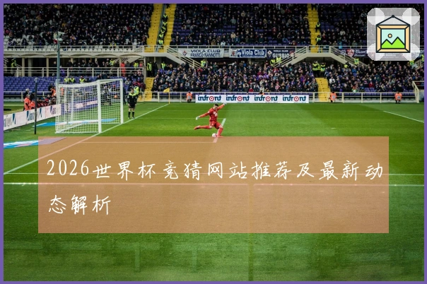 2026世界杯竞猜网站推荐及最新动态解析
