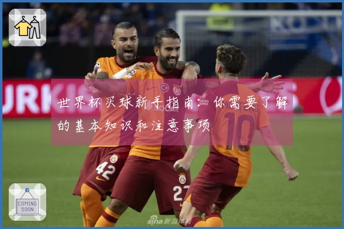 世界杯买球新手指南：你需要了解的基本知识和注意事项